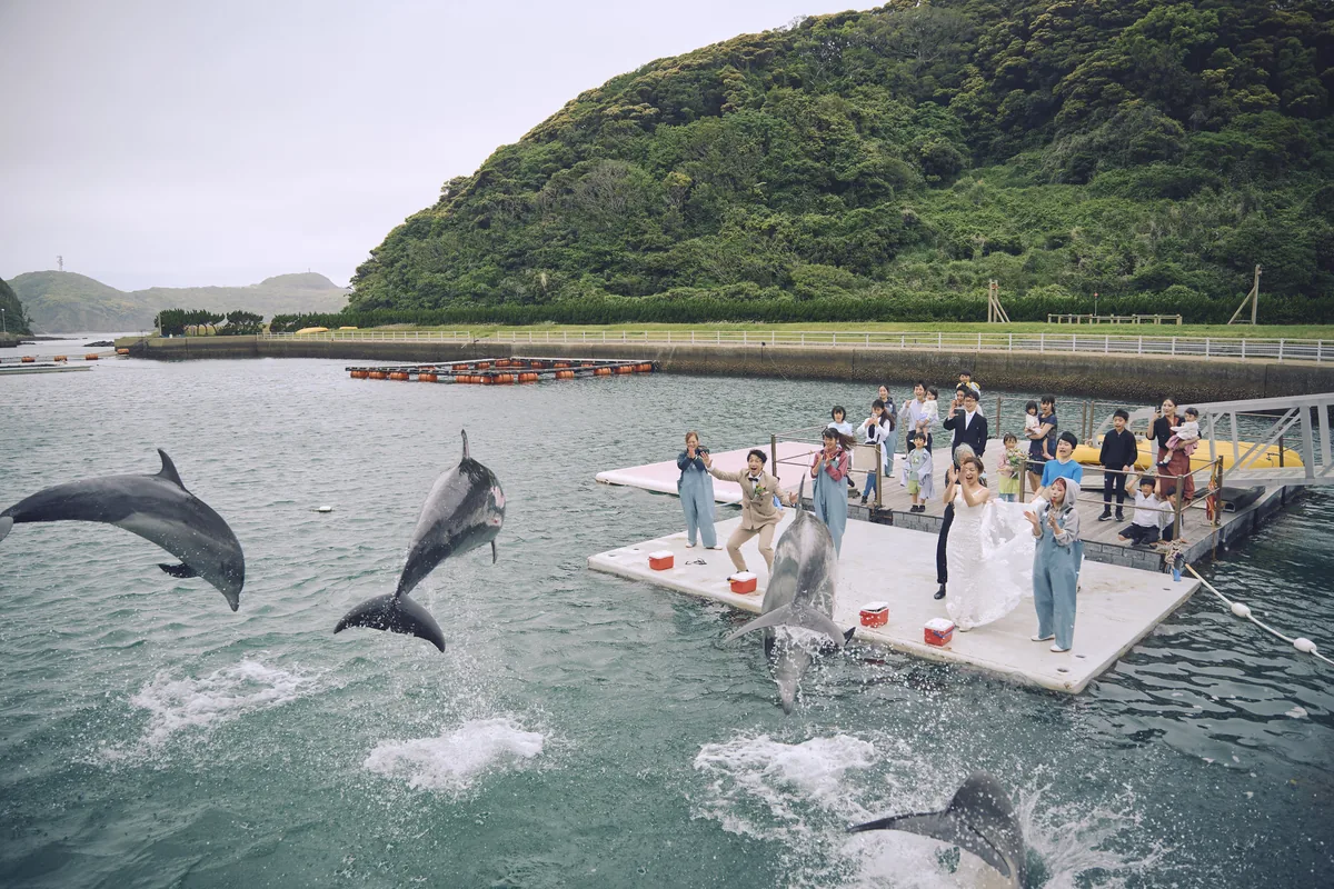海上デッキのゲストの目の前で、イルカたちがジャンプしている