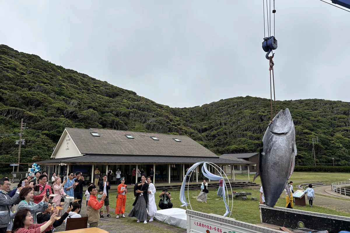 クレーンで吊るされたマグロを見上げるゲスト