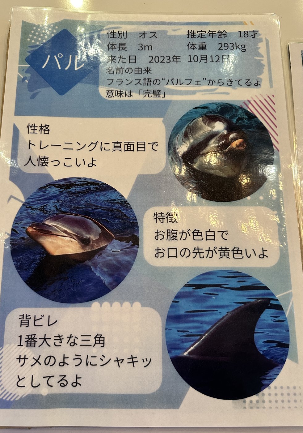 パルの個体紹介ボード（パーク内の掲示）