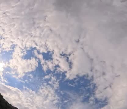 皆さんこんにちは！ここ数日少し寒さが和らぎ過ごしやすい気温でしたね。今回は水中の様子をお届けします！カヤックを漕いでいるとイルカ達が近づいて来てくれました。イルカ達はカヤックが大好