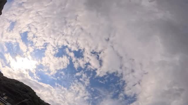 皆さんこんにちは！ここ数日少し寒さが和らぎ過ごしやすい気温でしたね。今回は水中の様子をお届けします！カヤックを漕いでいるとイルカ達が近づいて来てくれました。イルカ達はカヤックが大好