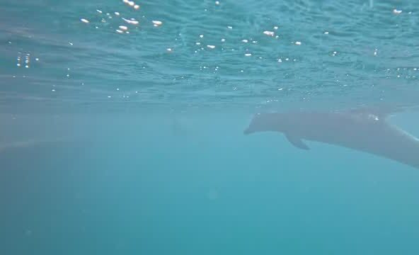 カメラが気になるティダちゃん、、、とってもかわいい鳴き声を聞かせてくれました！