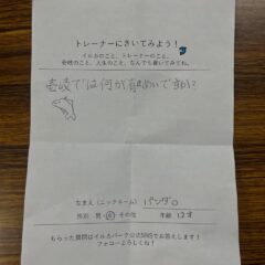 皆さんこんにちは！風が強い日が続いていますが皆さんいかがお過ごしでしょうか。🍃本日は壱岐では何が有名ですか？の質問に答えたいと思います！
