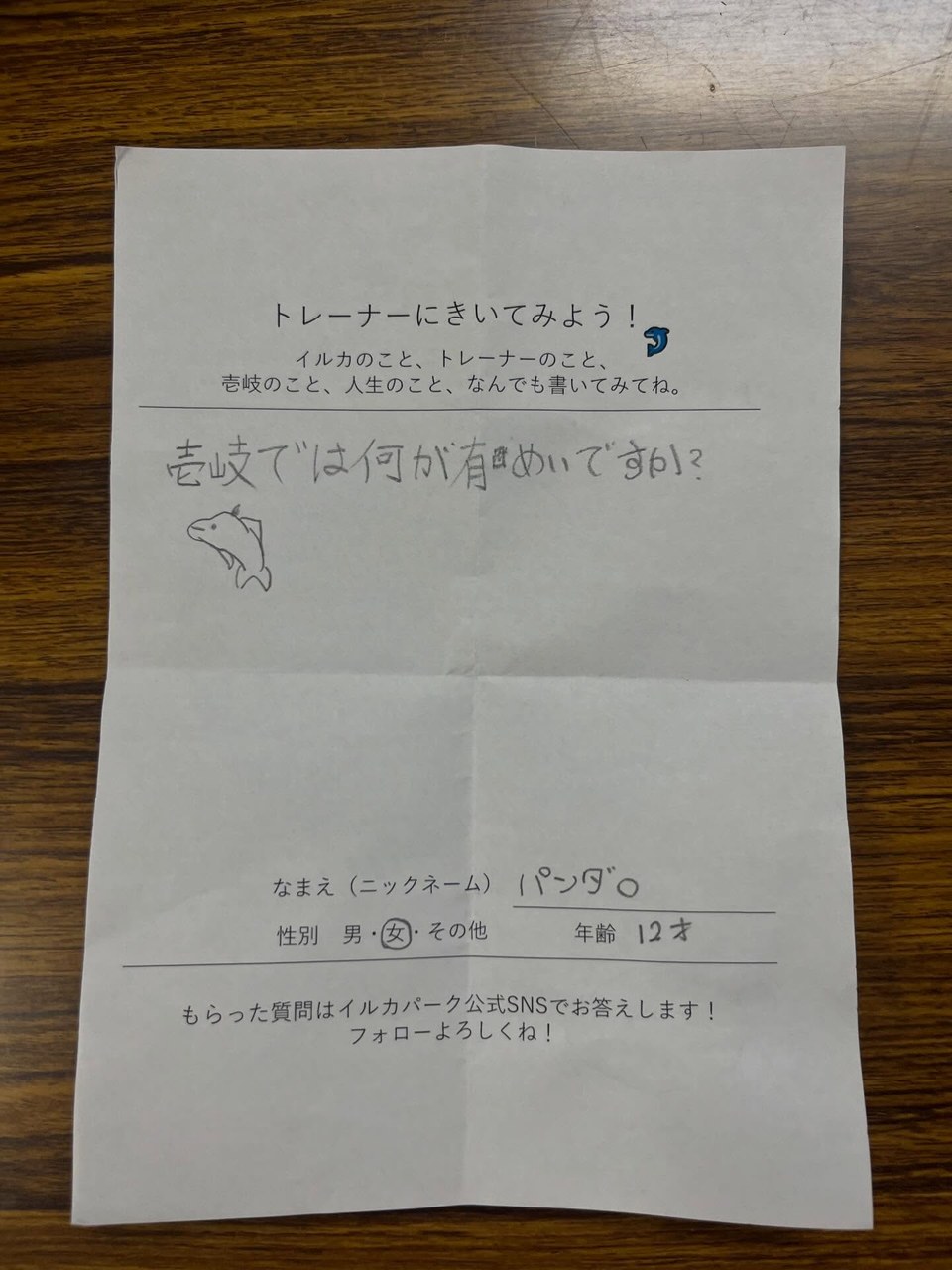 皆さんこんにちは！風が強い日が続いていますが皆さんいかがお過ごしでしょうか。🍃本日は壱岐では何が有名ですか？の質問に答えたいと思います！