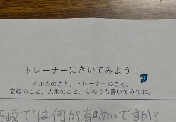 皆さんこんにちは！風が強い日が続いていますが皆さんいかがお過ごしでしょうか。🍃本日は壱岐では何が有名ですか？の質問に答えたいと思います！
