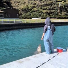 こんにちは！今日はパルくんの水吹きをご紹介！口に水を含んで水しぶきをあげることを水吹きといいます💦水吹きをしながら声が出てる姿が可愛らしいですね💖