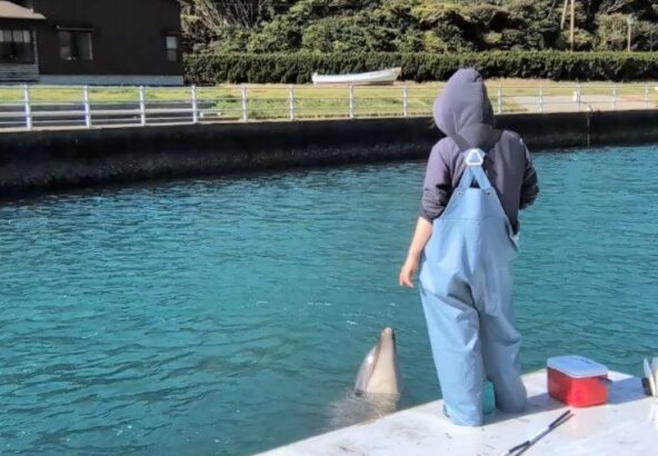 こんにちは！今日はパルくんの水吹きをご紹介！口に水を含んで水しぶきをあげることを水吹きといいます💦水吹きをしながら声が出てる姿が可愛らしいですね💖