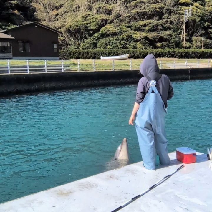 こんにちは！今日はパルくんの水吹きをご紹介！口に水を含んで水しぶきをあげることを水吹きといいます💦水吹きをしながら声が出てる姿が可愛らしいですね💖