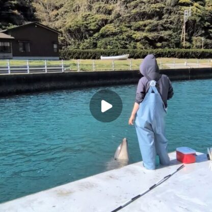 こんにちは！今日はパルくんの水吹きをご紹介！口に水を含んで水しぶきをあげることを水吹きといいます💦水吹きをしながら声が出てる姿が可愛らしいですね💖