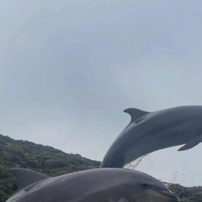 質問ありがとうございます！