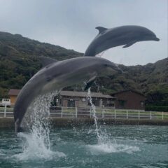 質問ありがとうございます！