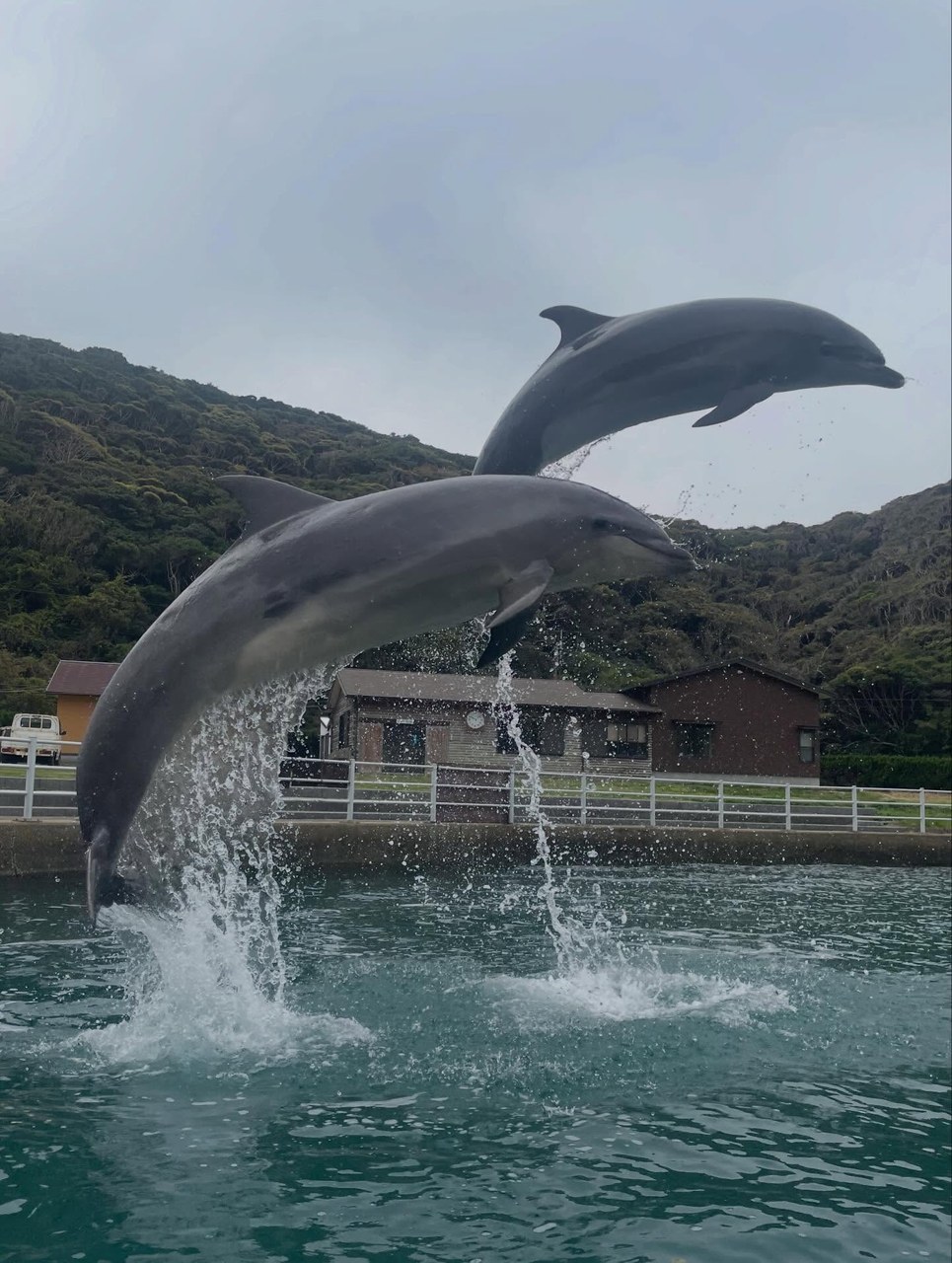 質問ありがとうございます！