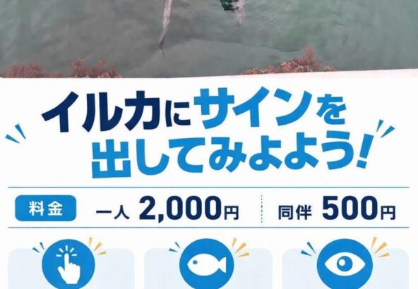 皆さんこんにちは！今日から新しいプログラムが始まりました！イルカたちにサインを出すことができます🐬体験が始まる前はサインの練習ができます👋皆さんも一緒にトレーナーになってみませんか