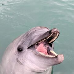 おはようございます☀今日のインスタライブですが、お昼ごろから風が強くなる予報なので急ですが朝の9時からに変更になります！急の変更になって申し訳ありません！明日の13時からも改めてイ