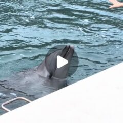 今日はビビちゃんの回転🌀をご紹介！まだ〜？と止まるビビちゃんでした❤