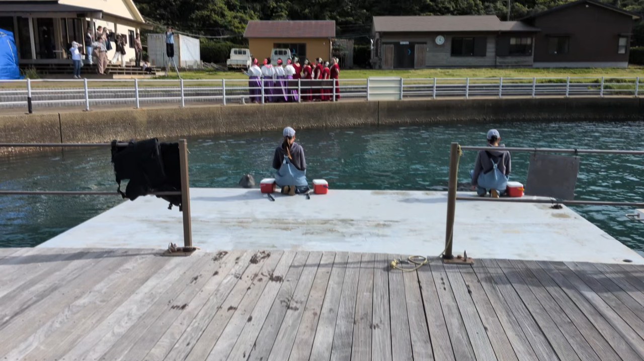 今日はフリマイベントにご来場いただきありがとうございました！風も少なく過ごしやすい天気でしたね☀今日の4頭のジャンプをお届けします！ぜひまたイルカたちに会いに来てください🐬