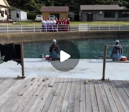 今日はフリマイベントにご来場いただきありがとうございました！風も少なく過ごしやすい天気でしたね☀今日の4頭のジャンプをお届けします！ぜひまたイルカたちに会いに来てください🐬