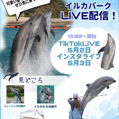 皆さんこんにちは！なんと！！LIVE配信を行います🎉TikTokは5月2日、インスタライブは3日に行います！時間はどちらも13:00から行います✨イルカたちのトレーニング姿を近くで