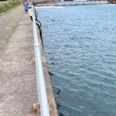 トレーニング終わりにティダちゃんと追いかけっこ🏃