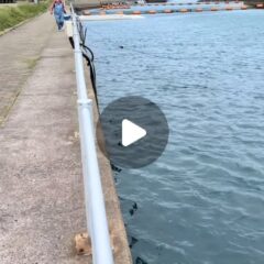 トレーニング終わりにティダちゃんと追いかけっこ🏃