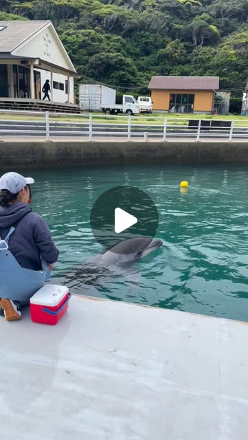 今日のパルくん🐬トレーナーの元まできちんと、おもちゃを届けてくれました！とっても上手👏👏