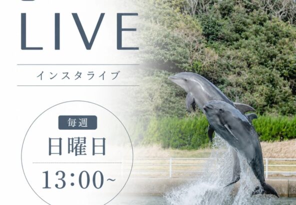 皆さんこんにちは！前回のインスタライブのご参加ありがとうございました✨️皆さんに楽しんでいただけたでしょうか！今回もインスタライブの告知なんですが、毎週日曜日の13時〜配信すること