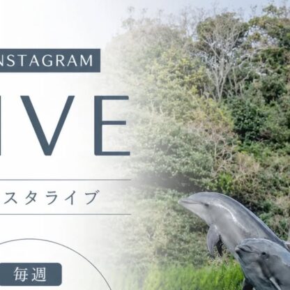 皆さんこんにちは！前回のインスタライブのご参加ありがとうございました✨️皆さんに楽しんでいただけたでしょうか！今回もインスタライブの告知なんですが、毎週日曜日の13時〜配信すること