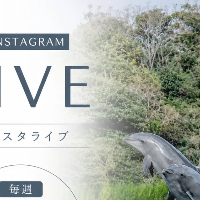 皆さんこんにちは！前回のインスタライブのご参加ありがとうございました✨️皆さんに楽しんでいただけたでしょうか！今回もインスタライブの告知なんですが、毎週日曜日の13時〜配信すること