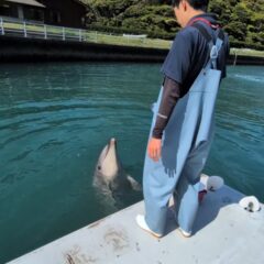 まねっこが上手なパル君👏