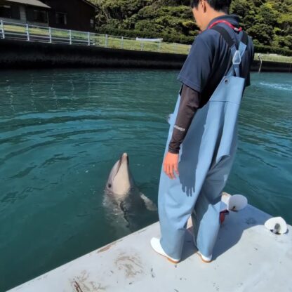 まねっこが上手なパル君👏