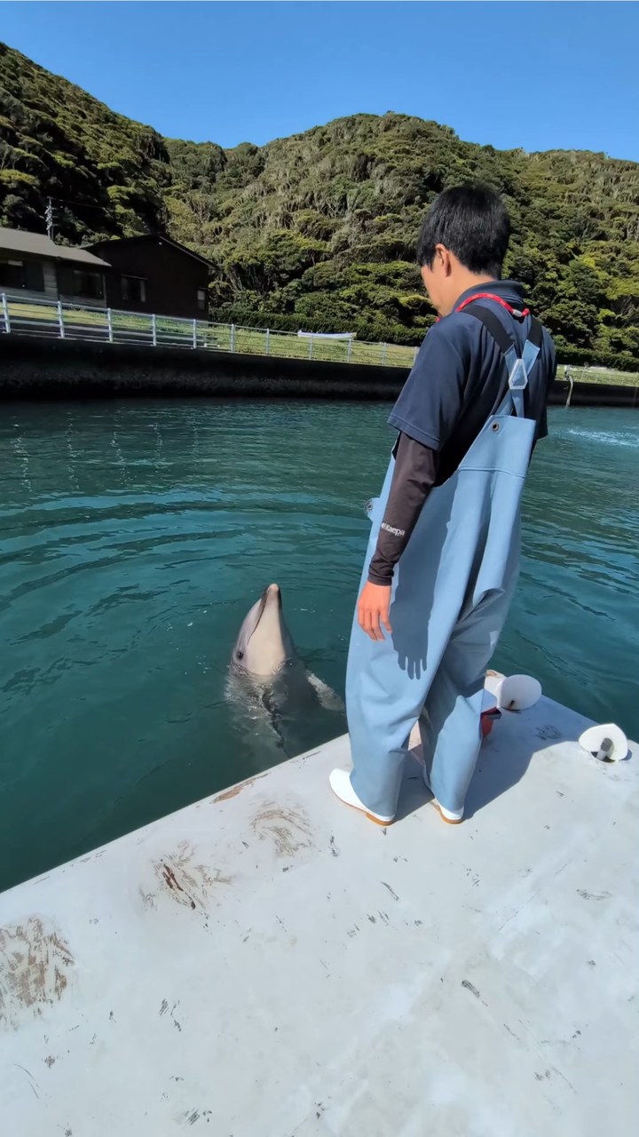まねっこが上手なパル君👏