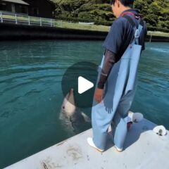まねっこが上手なパル君👏
