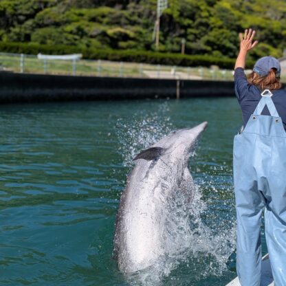 みなさんこんにちは！今日はビビちゃんのスプラジャンプです💨背面から飛ぶダイナミックなジャンプです！