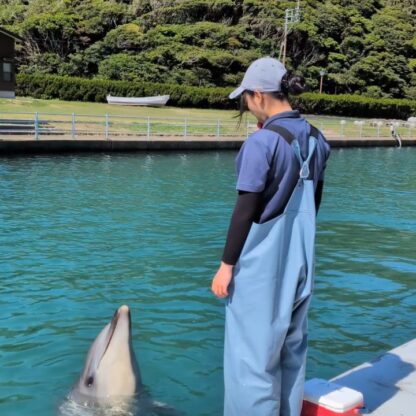 今日はパルくんのバンザイ🙌重い体も軽々と持ち上げています！体重なんと300キロ近くあります！！
