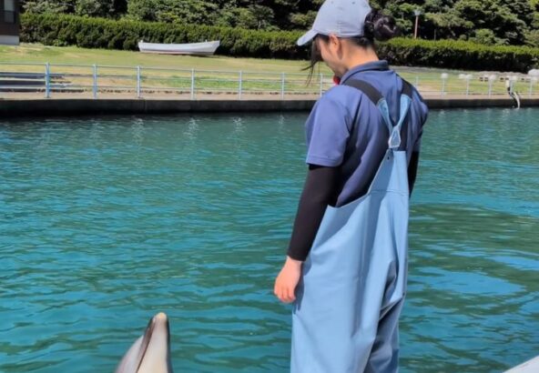 今日はパルくんのバンザイ🙌重い体も軽々と持ち上げています！体重なんと300キロ近くあります！！