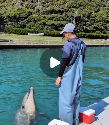 今日はパルくんのバンザイ🙌重い体も軽々と持ち上げています！体重なんと300キロ近くあります！！