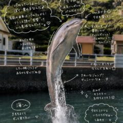 みなさんこんにちは！今日はパルくんのジャンプの写真です！流行りの手書き風の加工をしてみました✍️