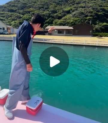 みなさんこんにちは😃