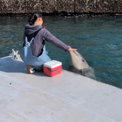 パルくんの回転🌀上手に回れてます！