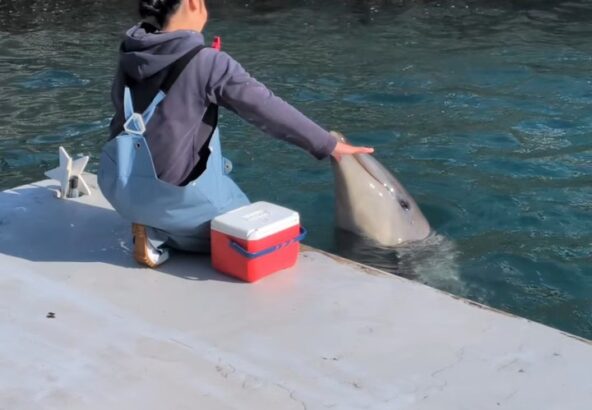 パルくんの回転🌀上手に回れてます！