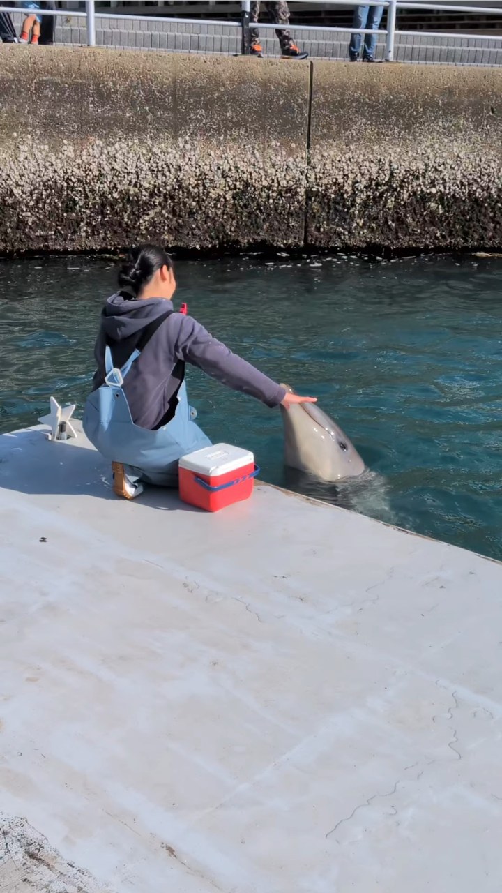 パルくんの回転🌀上手に回れてます！