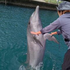 ティダちゃんと握手🤝