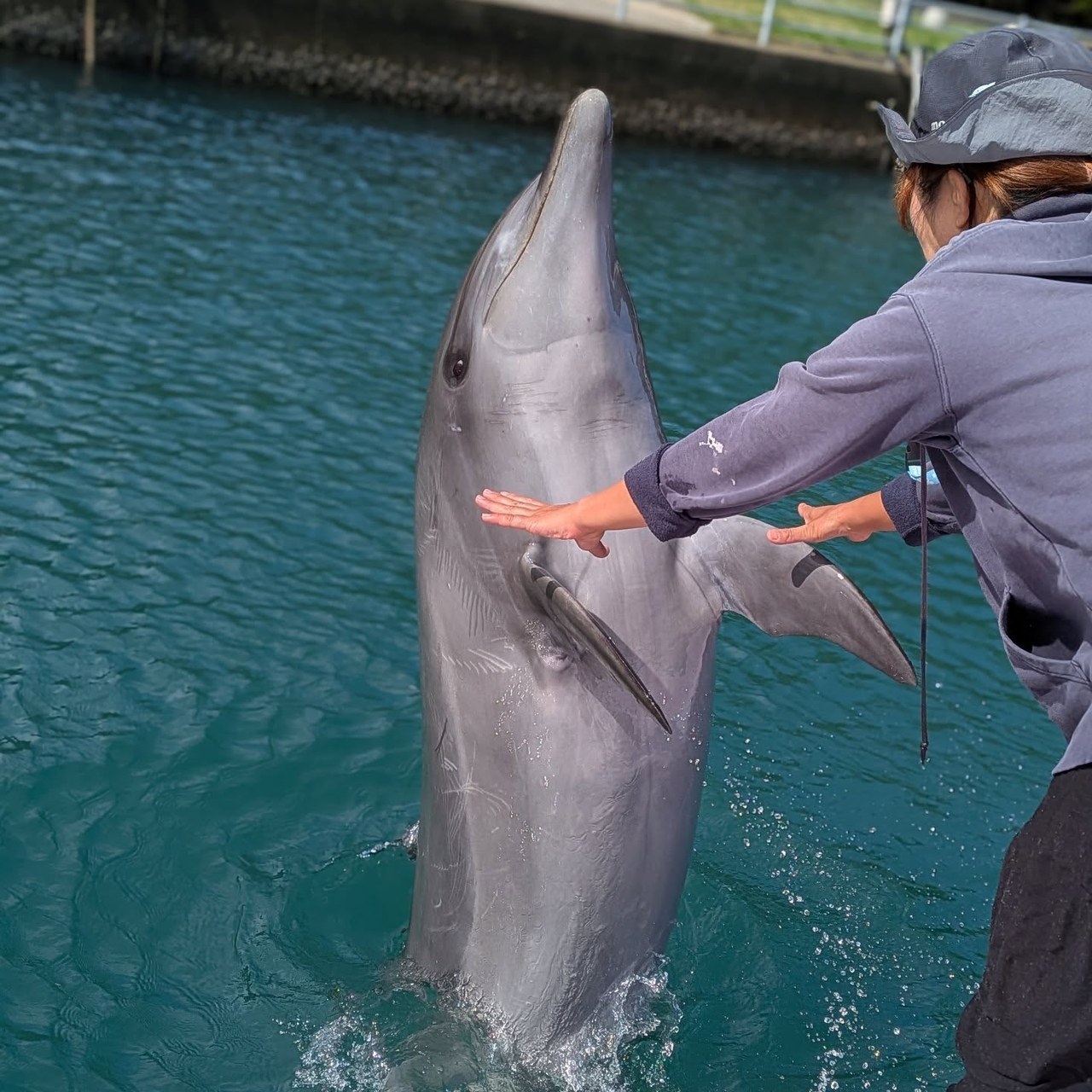 ティダちゃんと握手🤝