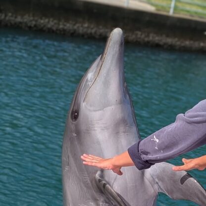 ティダちゃんと握手🤝