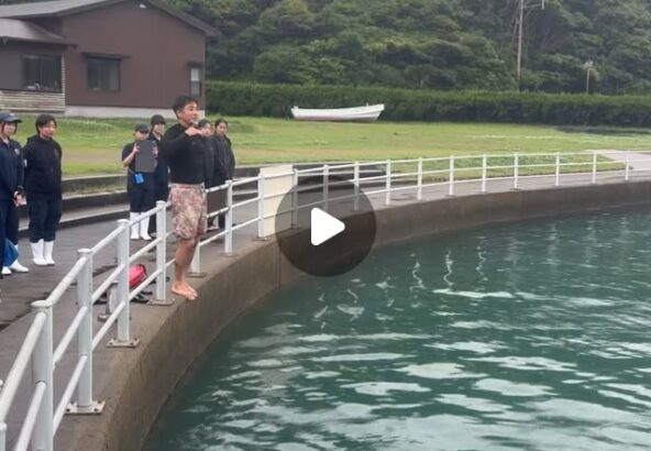 今日は休園させていただきまして、お客様が安心してイルカパークをご利用頂けるよう、スタッフ全員で救命救急、レスキュー訓練を行いました。
