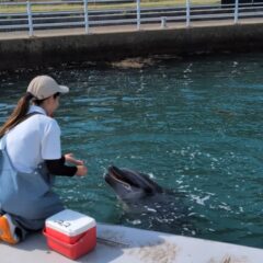 とっても勢いがいいビビちゃん❤️これは「水吹き」という種目です💧