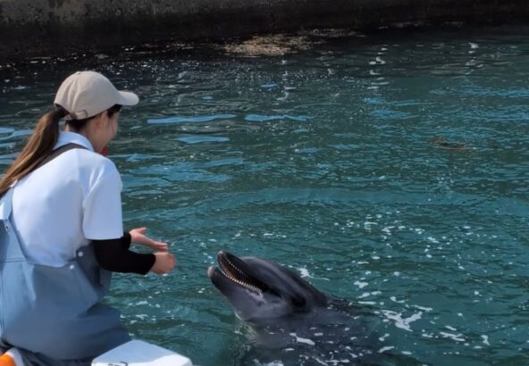 とっても勢いがいいビビちゃん❤️これは「水吹き」という種目です💧