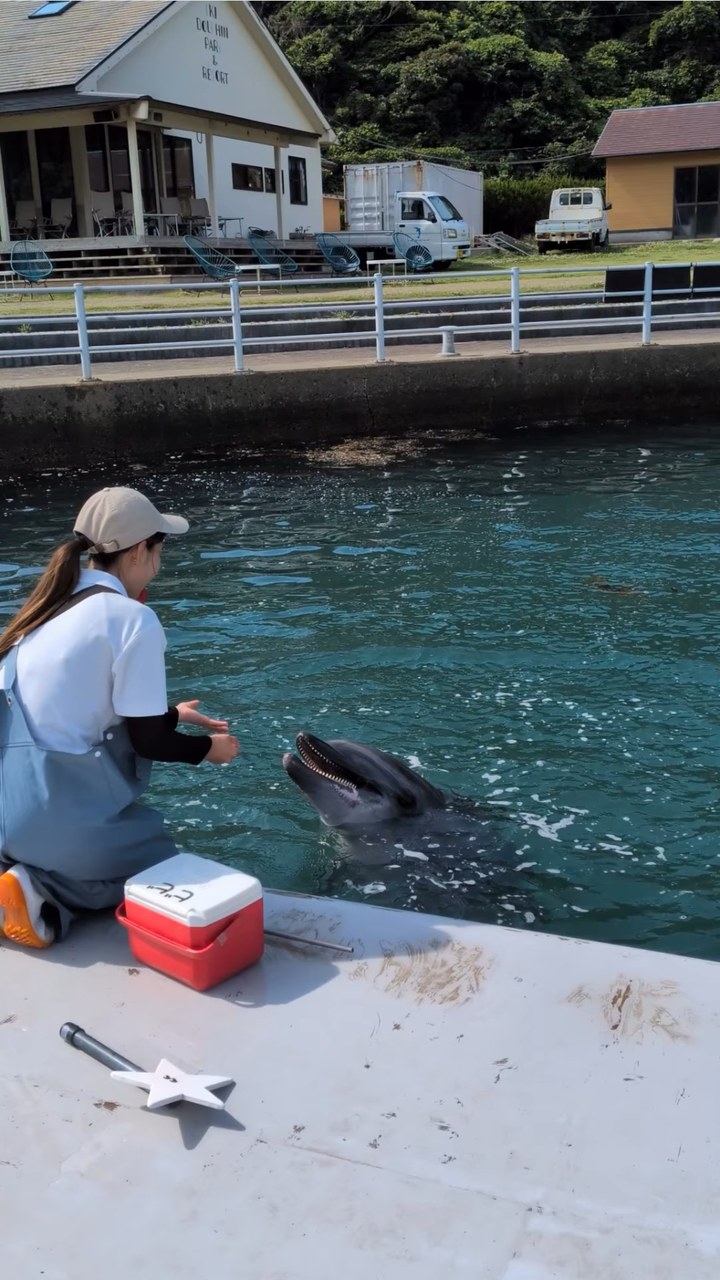 とっても勢いがいいビビちゃん❤️これは「水吹き」という種目です💧