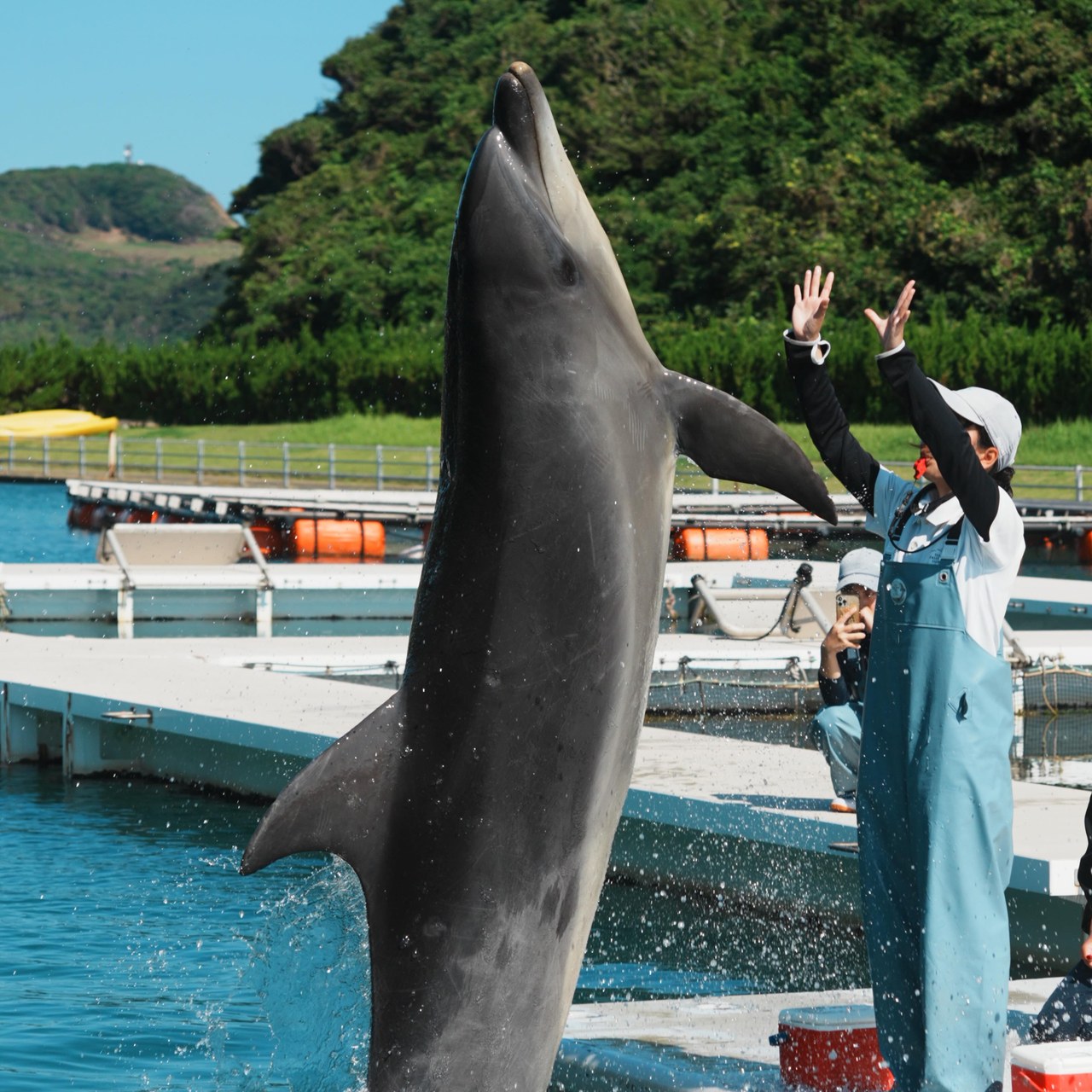 パルくんのかっこいいバンザイ💙パルくんの大きさが伝わりますかー？