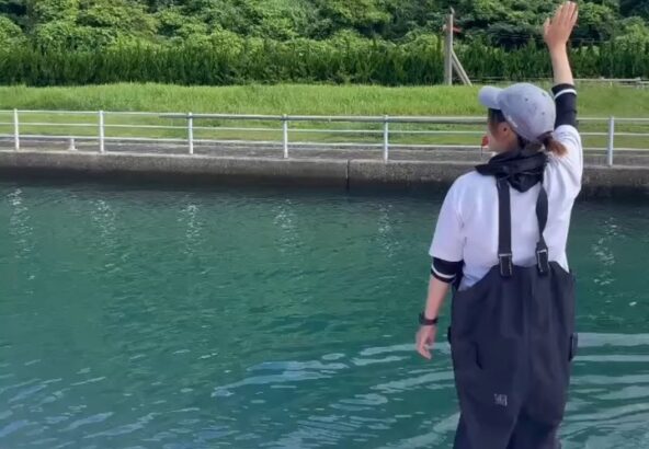 皆さんこんにちわ！最近は暑くなってきましたね☀水分補給をして熱中症には気をつけてください🥤イルカたちは元気にトレーニングを頑張っています！